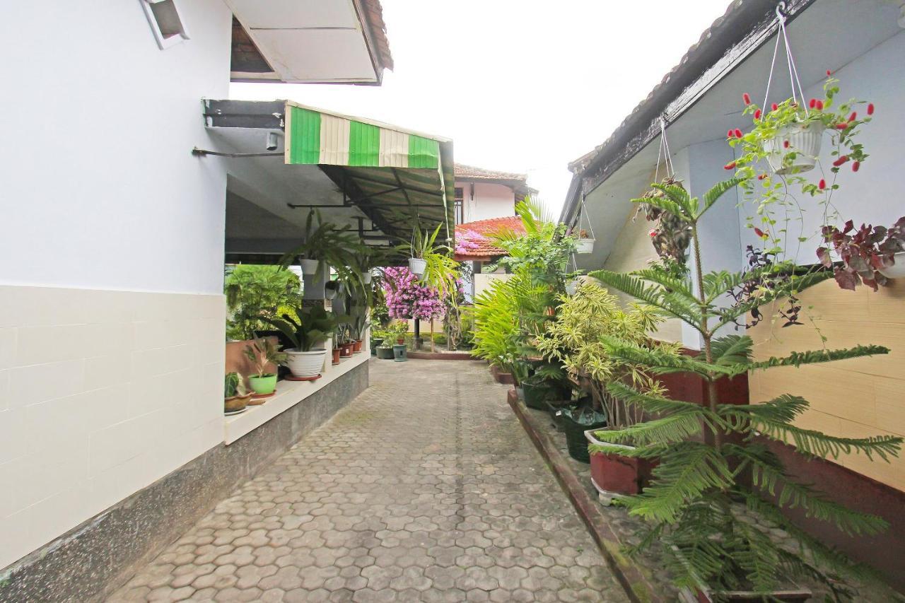 Oyo 91516 Wisata Hotel 马塔兰 外观 照片